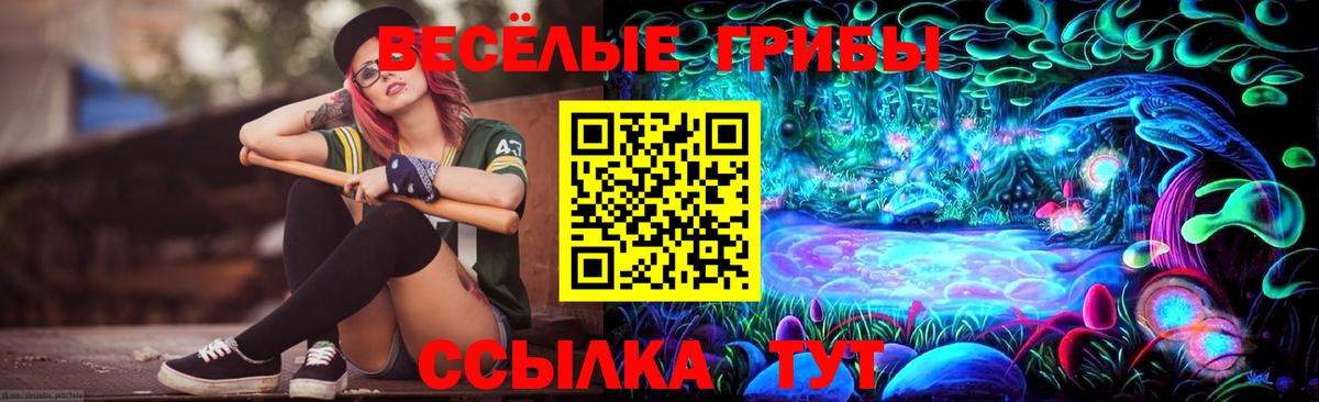 Галлюциногенные грибы ЛСД  Вход с VPN  Галлюциногенные грибы Cubensis  Каменка 